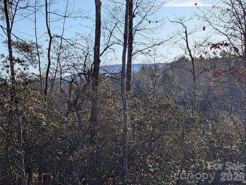 54-00 Winterberry Dr, Hendersonville, NC, 28739 | Card Image