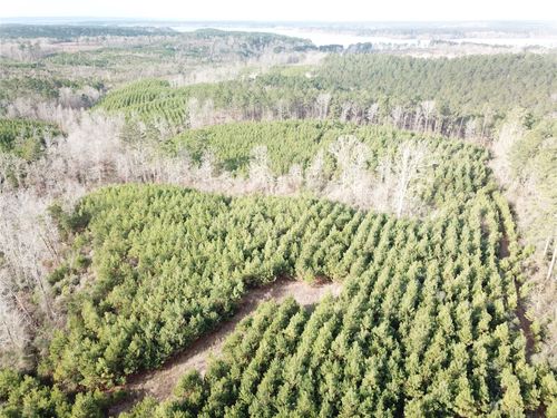 00 Off Mcmanus Road, Zwolle, LA, 71486 | Card Image