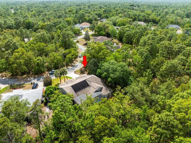 11 Nicotiana Ct, House other with 3 bedrooms, 2 bathrooms and null parking in Homosassa FL | Image 62