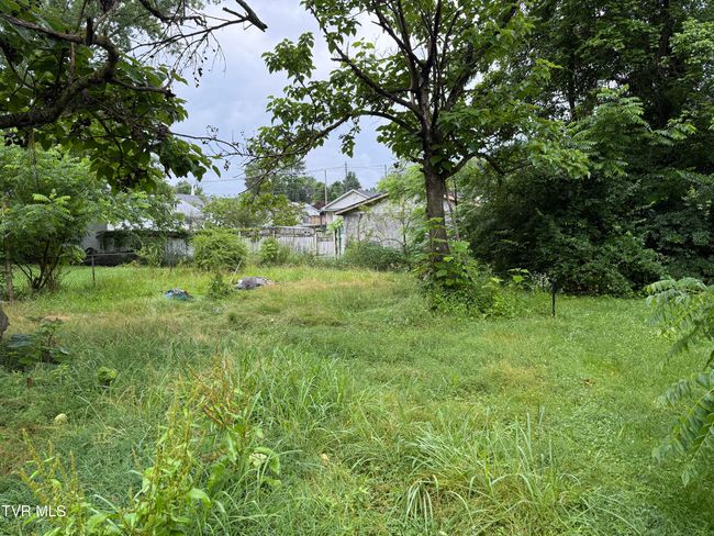 1741 Dunlap St, House other with 3 bedrooms, 1 bathrooms and null parking in Bristol VA | Image 10