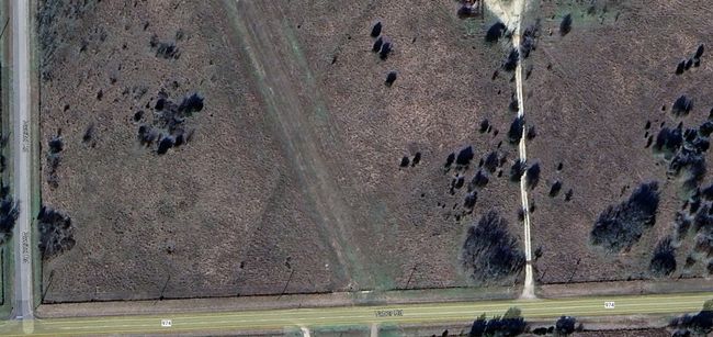 Image | Image 6