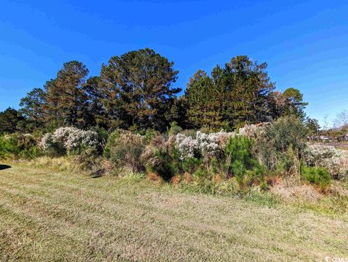3028 Newcastle Loop, Myrtle Beach, SC, 29588-4501 | Card Image