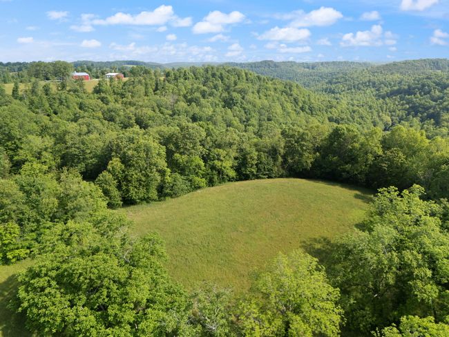 225 Hilltop Rd, Home with 3 bedrooms, 3 bathrooms and null parking in East Bernstadt KY | Image 87