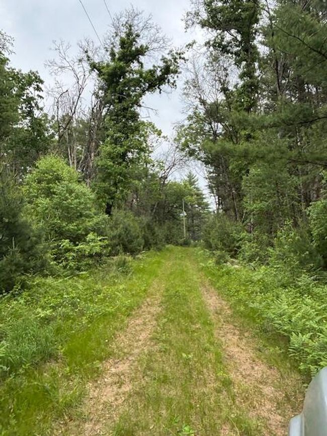 4901 S Spruce Ave, Home with 0 bedrooms, 0 bathrooms and null parking in Newaygo MI | Image 6