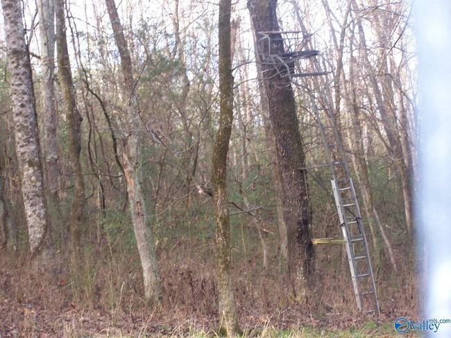 2176 Columbia Hwy, Home with 0 bedrooms, 0 bathrooms and null parking in Pulaski TN | Image 17