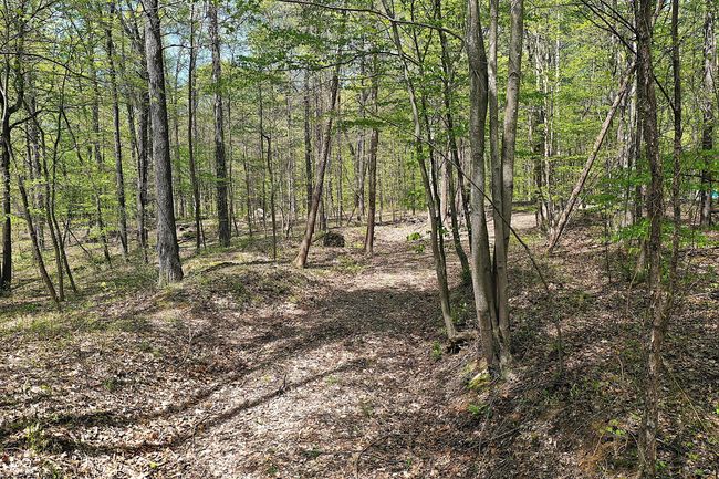 0 Possum Trot Rd, Home with 0 bedrooms, 0 bathrooms and null parking in Unionville IN | Image 8