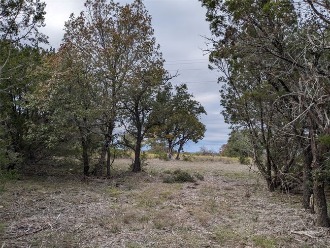 From gate to easement | Image 6