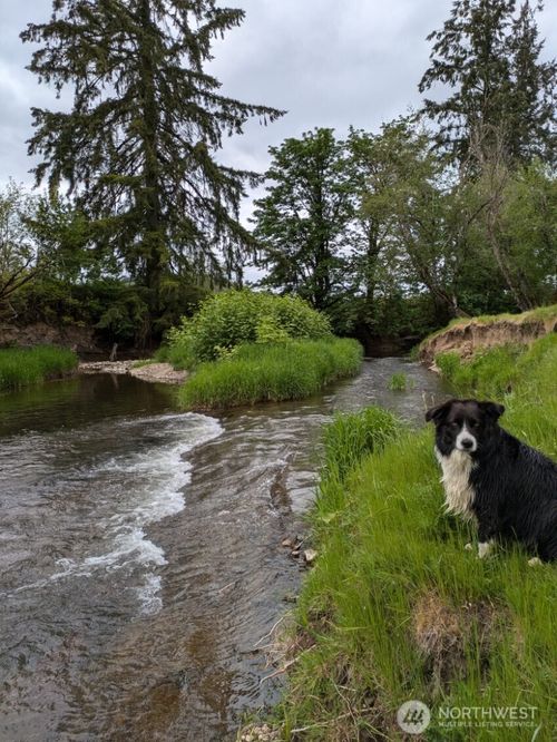 19-1319 Winlock Vader Rd, Winlock, WA, 98596-9509 | Card Image