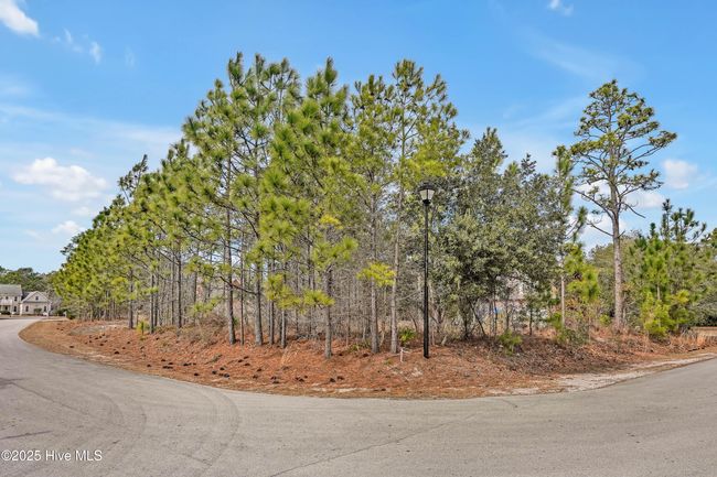 13 Whimbrell Way, Home with 0 bedrooms, 0 bathrooms and null parking in Hampstead NC | Image 11