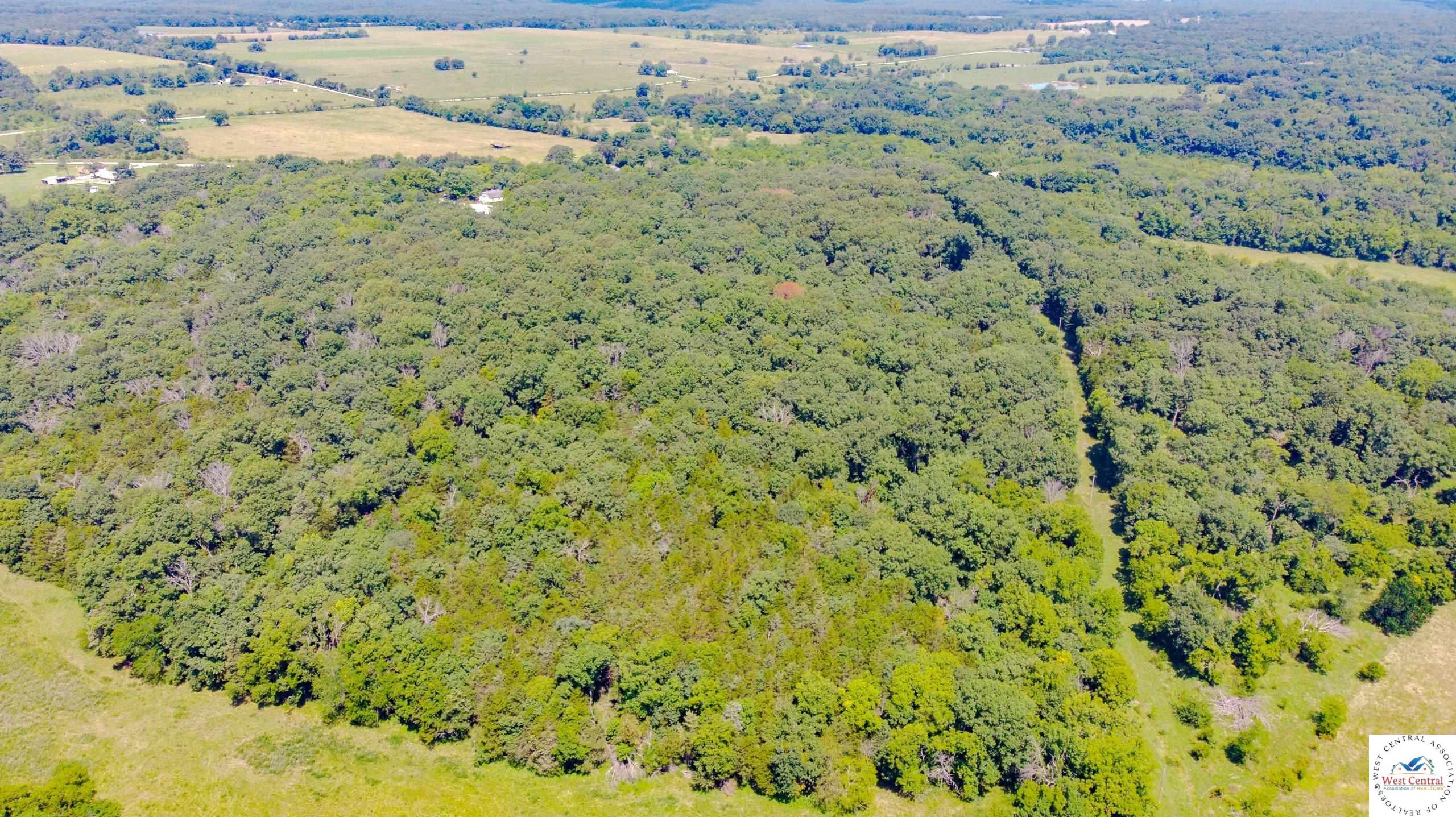 Land in Osceola 4