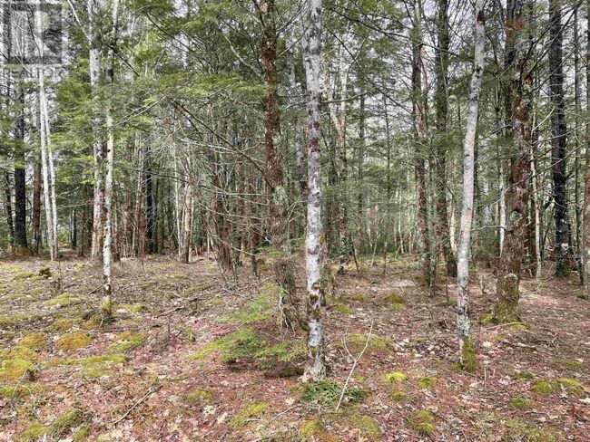 23 Huber Rd, Home with 0 bedrooms, 0 bathrooms and null parking in Camperdown NS | Image 26
