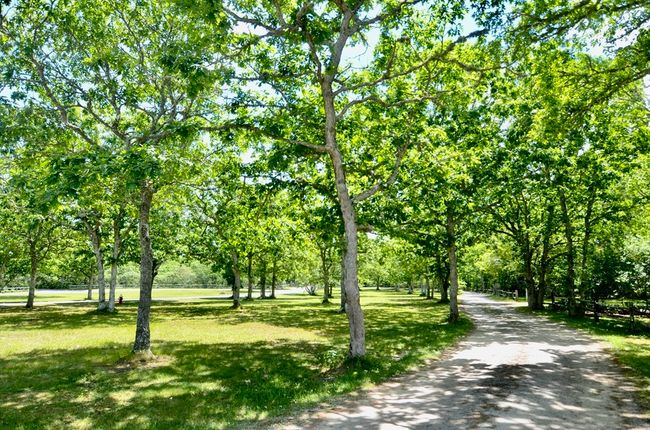 18 Bold Meadow Rd, House other with 4 bedrooms, 6 bathrooms and 4 parking in Edgartown MA | Image 16