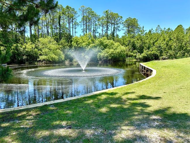 344 Royal Tern Ct, House other with 3 bedrooms, 2 bathrooms and 4 parking in Carrabelle FL | Image 44