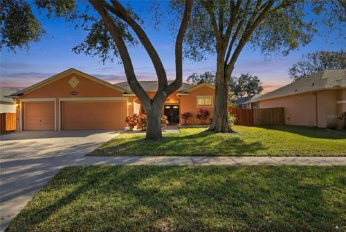 10455 Ashley Oaks Dr, RIVERVIEW, FL, 33578-8894 | Card Image