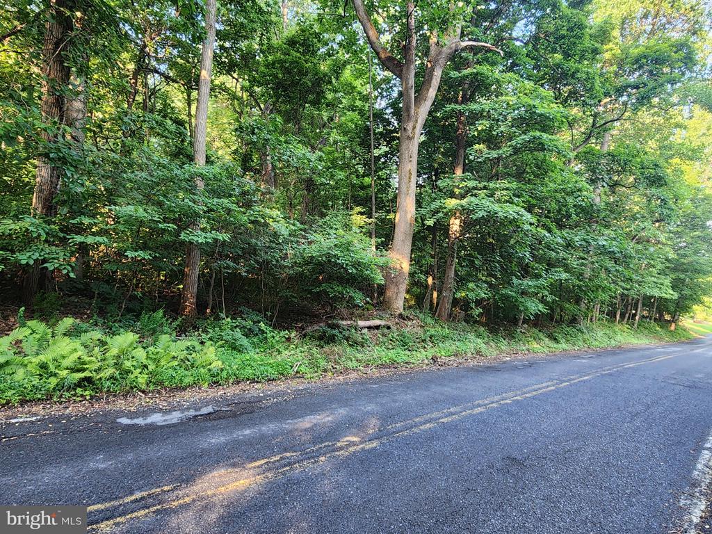 Land in MACUNGIE 3