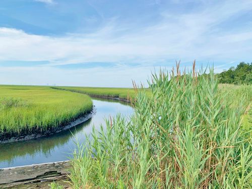 0 Scotts Landing Rd, Absecon, NJ, 08205 | Card Image