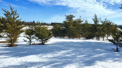 TBD Cattail Ln E, Bemidji, MN, 56601 | Card Image