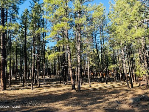 2936 Blue Lake Circle, Pinetop, AZ, 85935 | Card Image