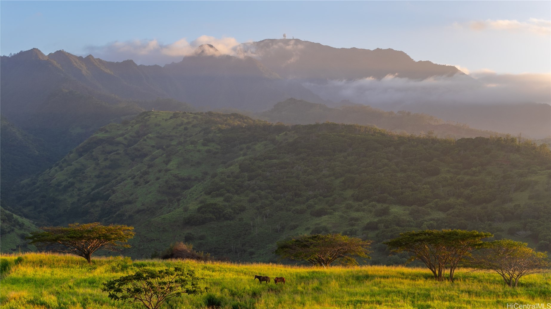 Land in Waialua