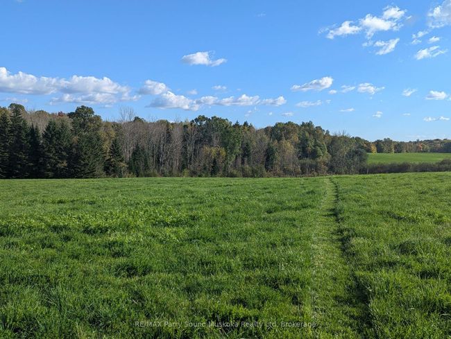 0 Balsam Rd, Home with 0 bedrooms, 0 bathrooms and null parking in McKellar ON | Image 8