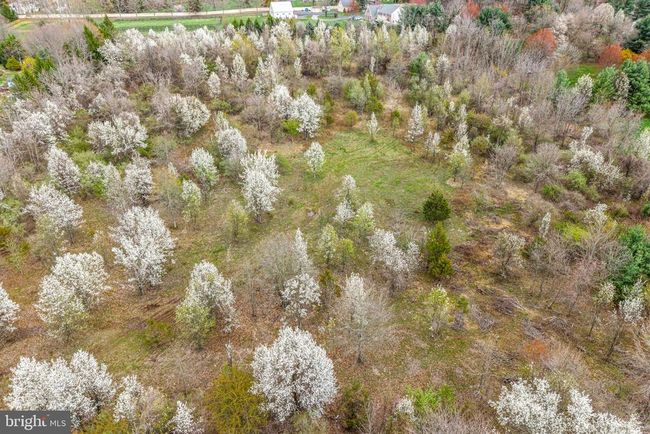 4441 Fell Rd, Home with 0 bedrooms, 0 bathrooms and null parking in DOYLESTOWN PA | Image 6