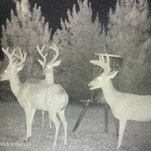 448 Attala Road 4005, Goodman, MS, 39079 | Card Image