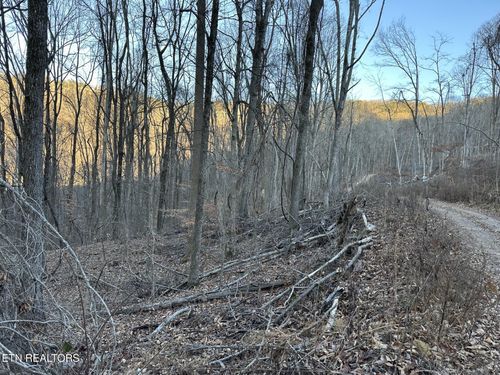 00 Stone Ridge Dr, Pikeville, TN, 37367 | Card Image