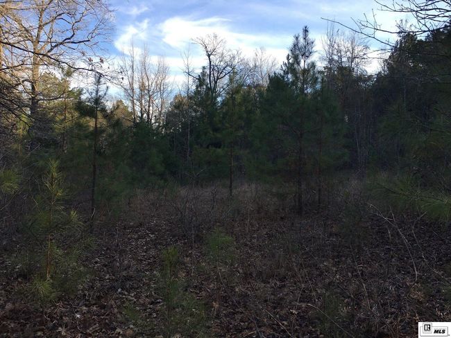 000 Highway 15, Home with 0 bedrooms, 0 bathrooms and null parking in Downsville LA | Image 24