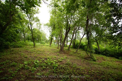 16216 Hwy 2, Pt 3 & Pt 4 N/A, Quinte West, ON, K0K1H0 | Card Image