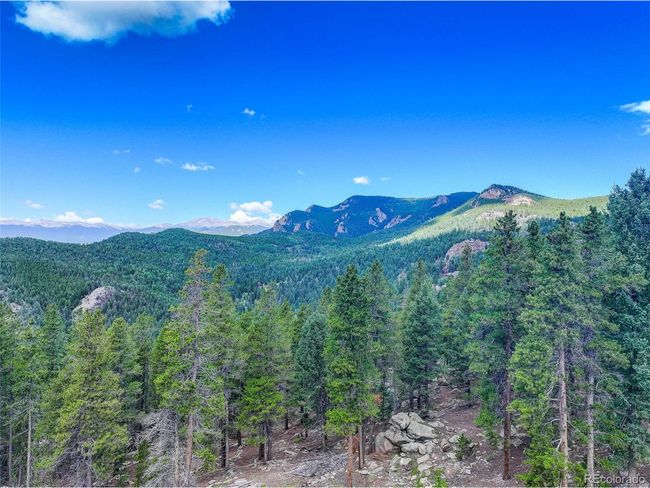 11275 Bear Run Trl, Home with 0 bedrooms, 0 bathrooms and null parking in Conifer CO | Image 10