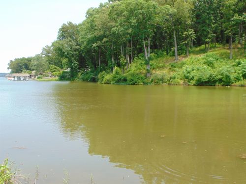 001 Wilson Lake Shrs, Muscle Shoals, AL, 35661 | Card Image