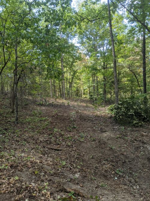 000 County Road 330, Dora, MO, 65637 | Card Image