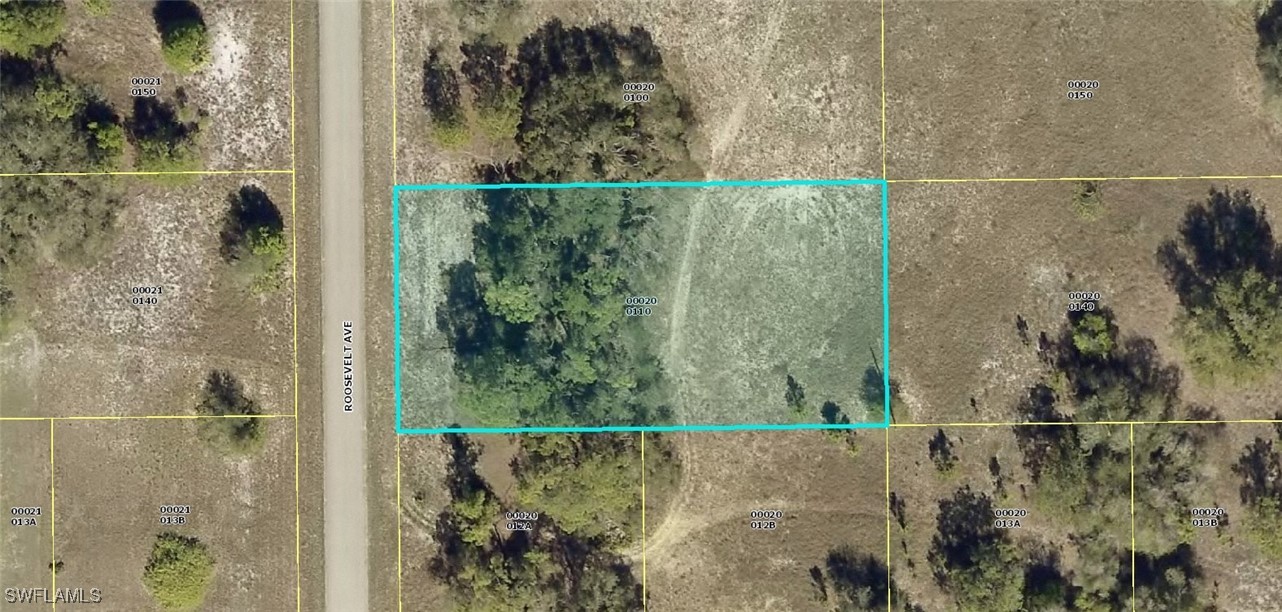 Land in Lehigh Acres