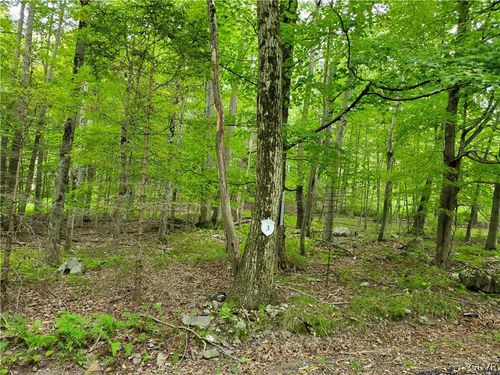 lot-3-3 Tall Oak Dr, Pocono Lake, PA, 18347 | Card Image