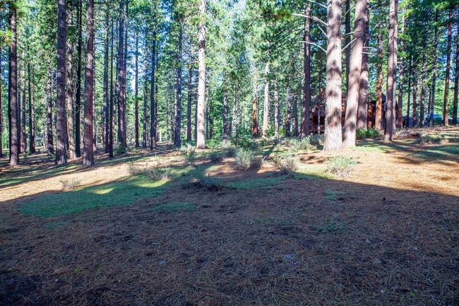 11561 Bottcher Loop, Home with 0 bedrooms, 0 bathrooms and null parking in Truckee CA | Image 12