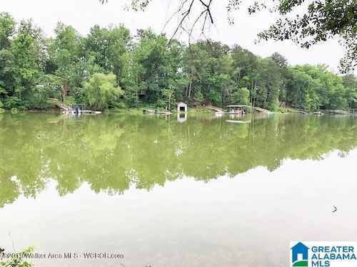 4-0 Country Rd, CRANE HILL, AL, 35053 | Card Image