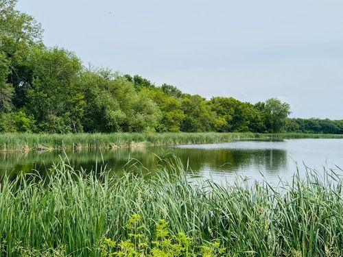 21631 Kandi Swift Rd Nw, Sunburg, MN, 56289 | Card Image