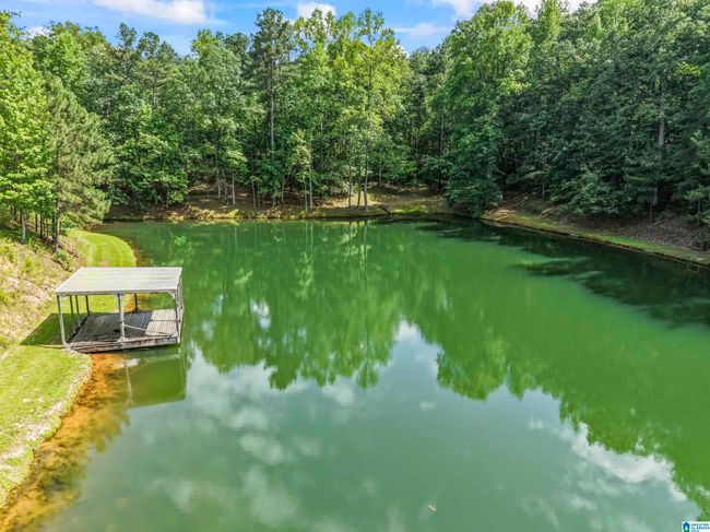 2307 Highway 331, House other with 3 bedrooms, 3 bathrooms and null parking in Columbiana AL | Image 61