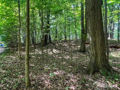 2172 Lakeshore Dr, Fennville, MI, 49408-9747 | Card Image