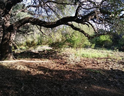 4066 Fm 581 E, Lometa, TX, 76853-4039 | Card Image