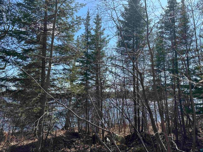 Unit 5 Fernberg Rd, Home with 0 bedrooms, 0 bathrooms and null parking in Ely MN | Image 6