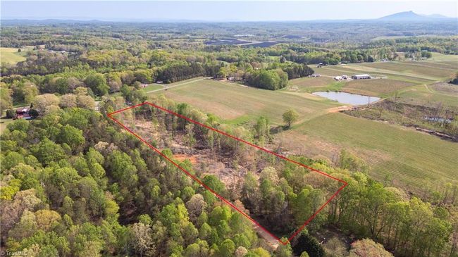 0 Jarvis Plantation Rd, Home with 0 bedrooms, 0 bathrooms and null parking in Dobson NC | Image 8