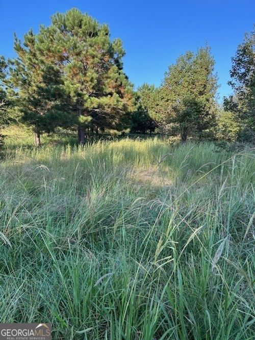 0 Cary Ln, Washington, GA, 30673 | Card Image