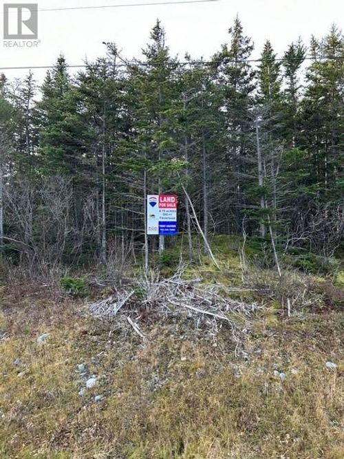 59-77 Main Rd, New Perlican, NL, A0B1Z0 | Card Image