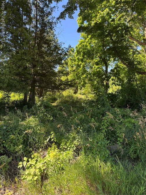 4991 Mayville Rd, Silverwood, MI, 48760-9412 | Card Image