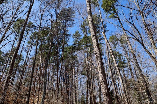 0 Golf Course Rd, Home with 0 bedrooms, 0 bathrooms and null parking in Halifax VA | Image 6