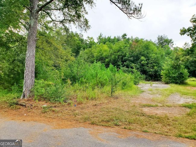 168 Peach St, Home with 0 bedrooms, 0 bathrooms and null parking in Haddock GA | Image 4