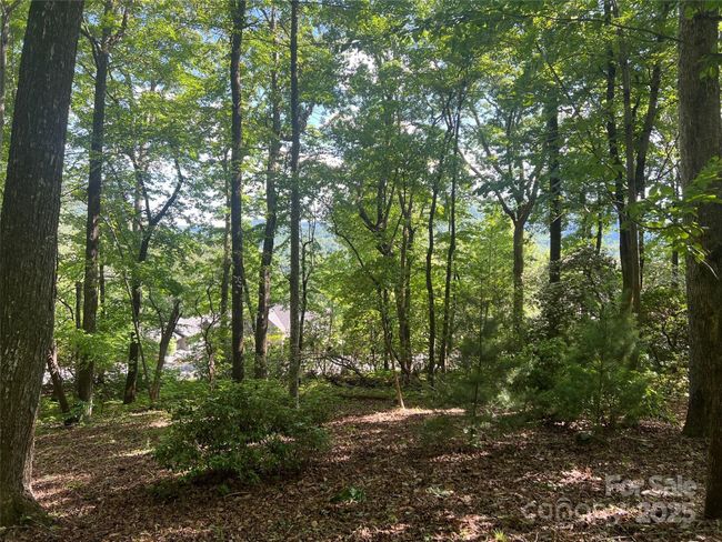 1110 Timberbluff Way, Home with 0 bedrooms, 0 bathrooms and null parking in Arden NC | Image 4