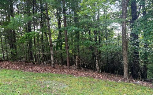 Lot 40 Double Knobs Dr, Hayesville, NC, 28904-2600 | Card Image