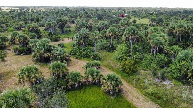 1303 Cabbage Ln, Home with 0 bedrooms, 0 bathrooms and null parking in Okeechobee FL | Image 19